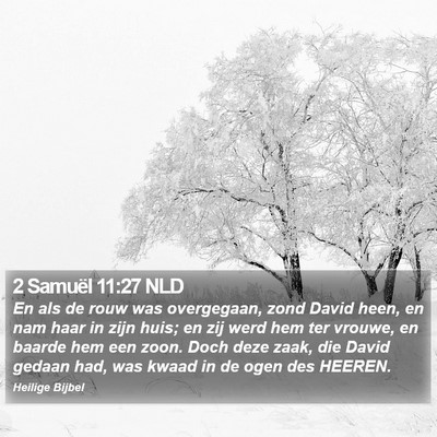 2 Samuël 11:27 NLD Bible Verse Image