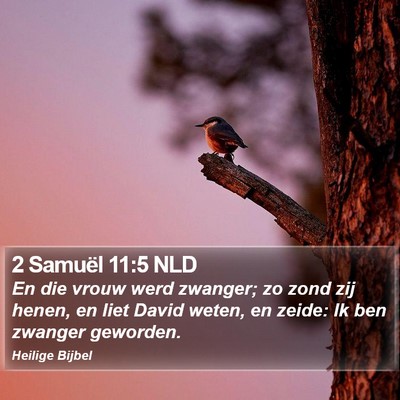 2 Samuël 11:5 NLD Bible Verse Image