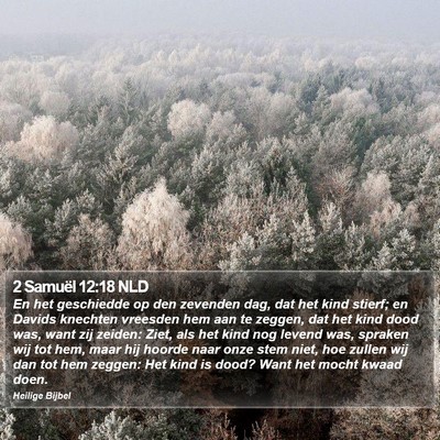 2 Samuël 12:18 NLD Bible Verse Image
