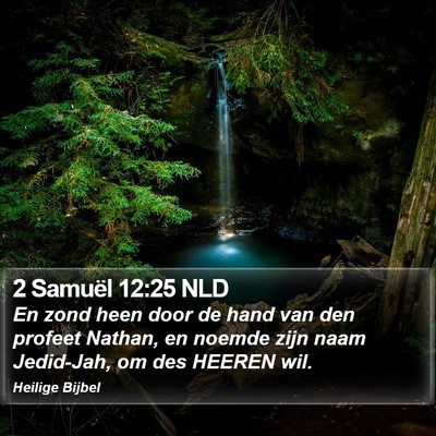 2 Samuël 12:25 NLD Bible Verse Image