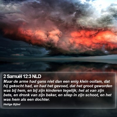 2 Samuël 12:3 NLD Bible Verse Image