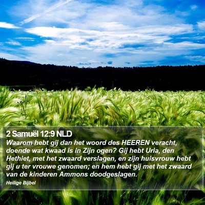 2 Samuël 12:9 NLD Bible Verse Image