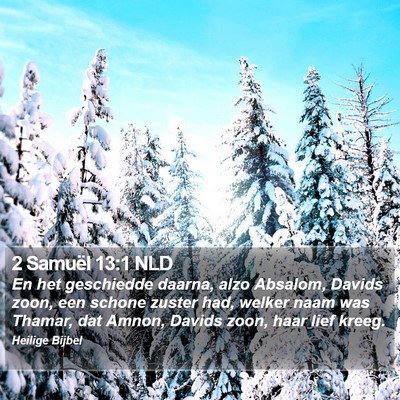 2 Samuël 13:1 NLD Bible Verse Image