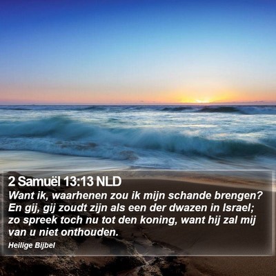 2 Samuël 13:13 NLD Bible Verse Image