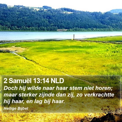 2 Samuël 13:14 NLD Bible Verse Image