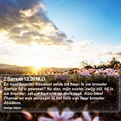 2 Samuël 13:20 NLD Bible Verse Image