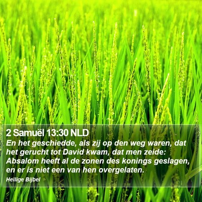 2 Samuël 13:30 NLD Bible Verse Image