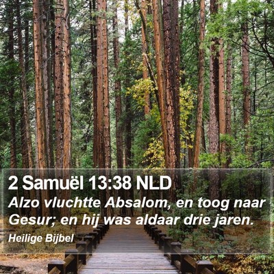 2 Samuël 13:38 NLD Bible Verse Image