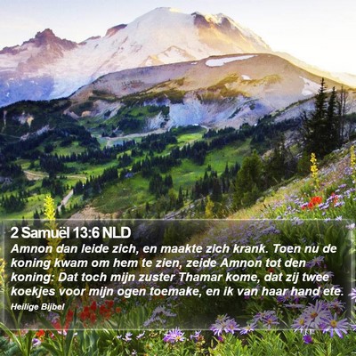 2 Samuël 13:6 NLD Bible Verse Image