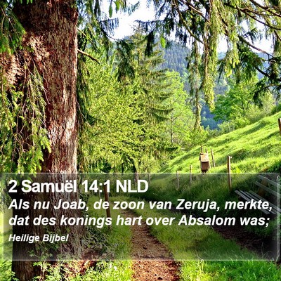 2 Samuël 14:1 NLD Bible Verse Image