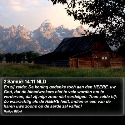 2 Samuël 14:11 NLD Bible Verse Image