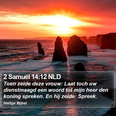 2 Samuël 14:12 NLD Bible Verse Image