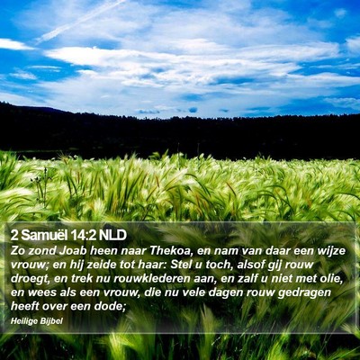 2 Samuël 14:2 NLD Bible Verse Image