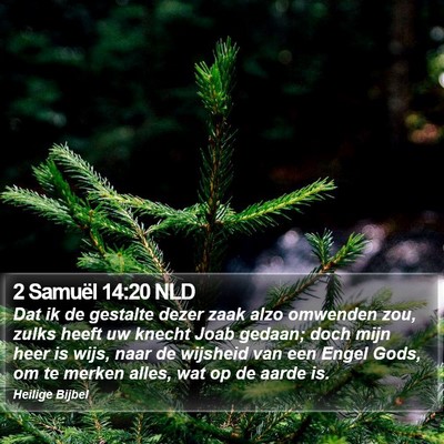 2 Samuël 14:20 NLD Bible Verse Image