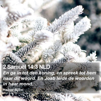 2 Samuël 14:3 NLD Bible Verse Image