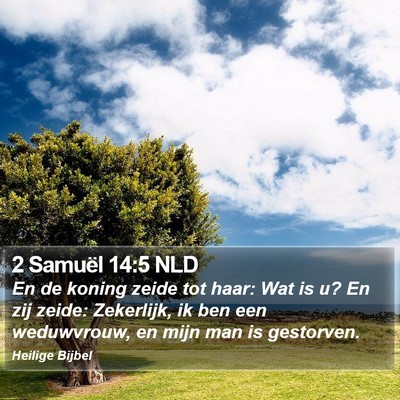 2 Samuël 14:5 NLD Bible Verse Image