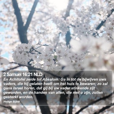 2 Samuël 16:21 NLD Bible Verse Image