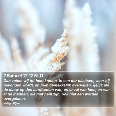 2 Samuël 17:12 NLD Bible Verse Image