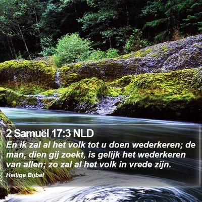2 Samuël 17:3 NLD Bible Verse Image