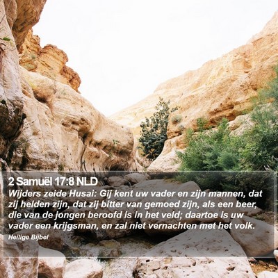2 Samuël 17:8 NLD Bible Verse Image