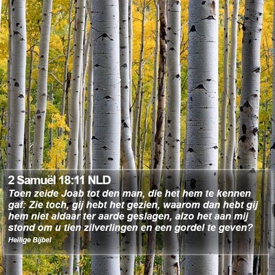 2 Samuël 18:11 NLD Bible Verse Image