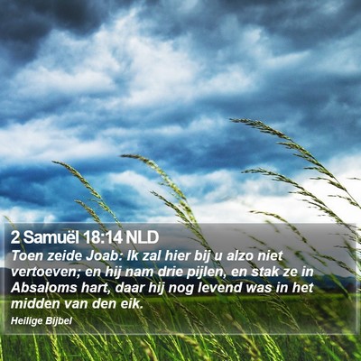 2 Samuël 18:14 NLD Bible Verse Image