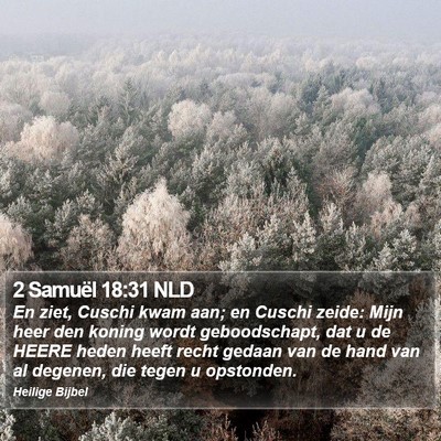 2 Samuël 18:31 NLD Bible Verse Image