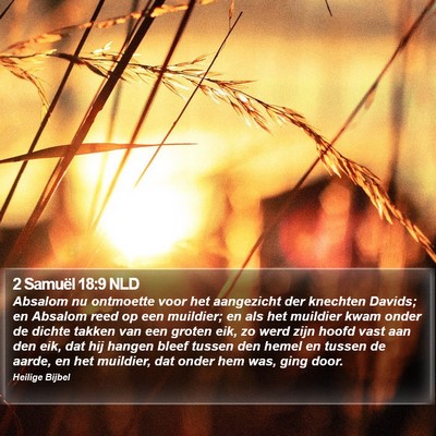 2 Samuël 18:9 NLD Bible Verse Image