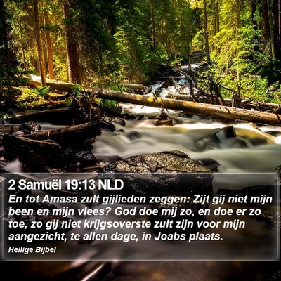 2 Samuël 19:13 NLD Bible Verse Image