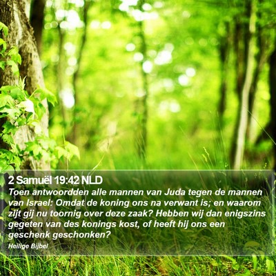 2 Samuël 19:42 NLD Bible Verse Image
