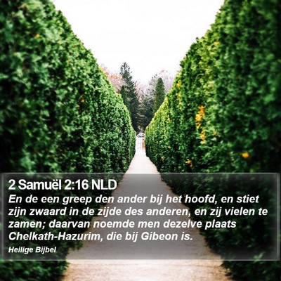 2 Samuël 2:16 NLD Bible Verse Image