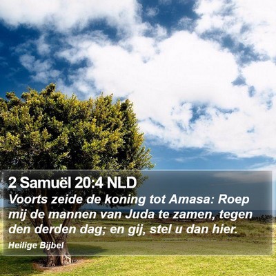 2 Samuël 20:4 NLD Bible Verse Image