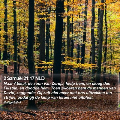 2 Samuël 21:17 NLD Bible Verse Image