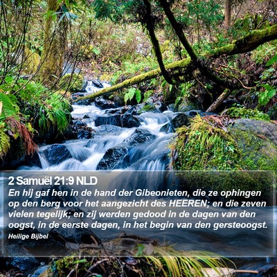 2 Samuël 21:9 NLD Bible Verse Image