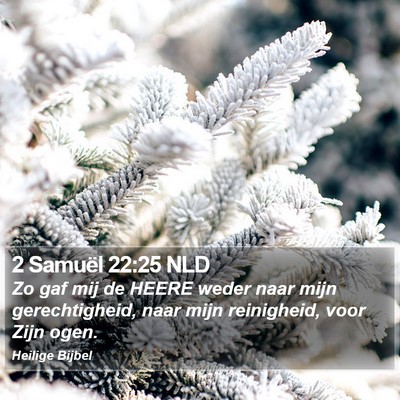 2 Samuël 22:25 NLD Bible Verse Image
