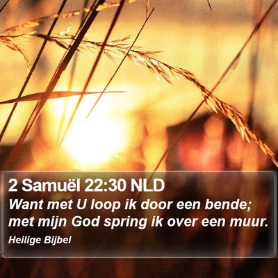 2 Samuël 22:30 NLD Bible Verse Image
