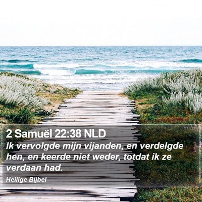 2 Samuël 22:38 NLD Bible Verse Image