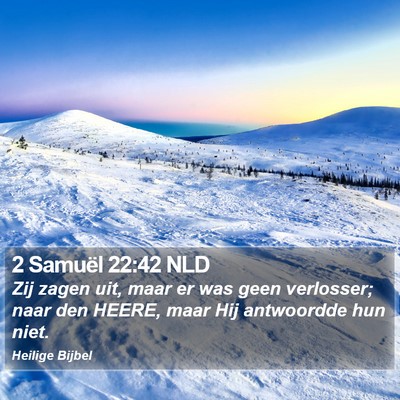2 Samuël 22:42 NLD Bible Verse Image