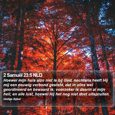 2 Samuël 23:5 NLD Bible Verse Image