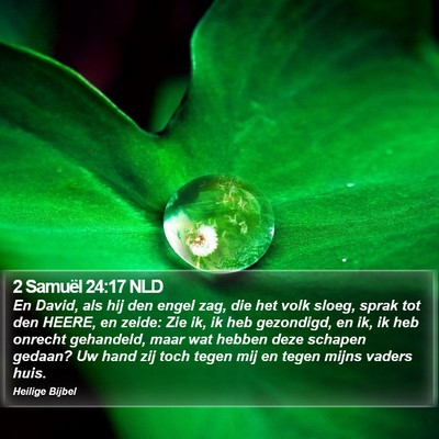 2 Samuël 24:17 NLD Bible Verse Image