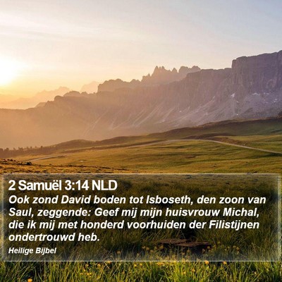 2 Samuël 3:14 NLD Bible Verse Image