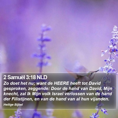 2 Samuël 3:18 NLD Bible Verse Image