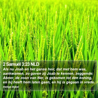2 Samuël 3:23 NLD Bible Verse Image