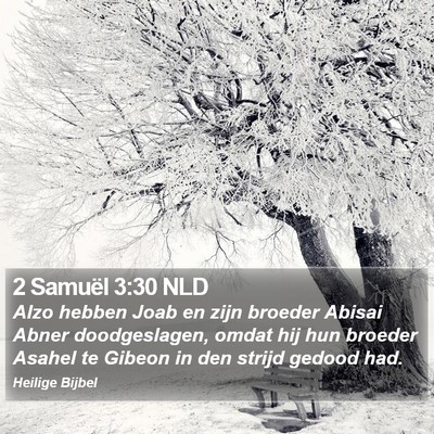 2 Samuël 3:30 NLD Bible Verse Image