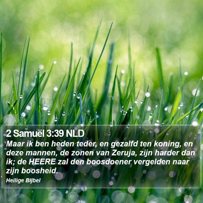 2 Samuël 3:39 NLD Bible Verse Image