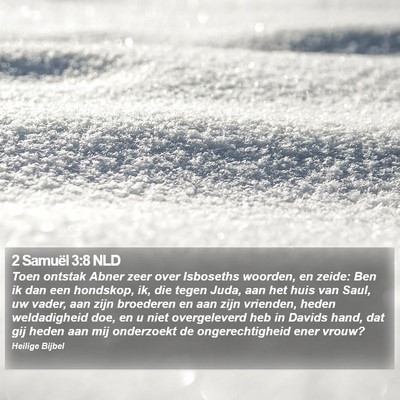 2 Samuël 3:8 NLD Bible Verse Image