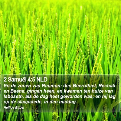 2 Samuël 4:5 NLD Bible Verse Image