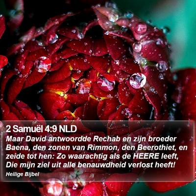 2 Samuël 4:9 NLD Bible Verse Image