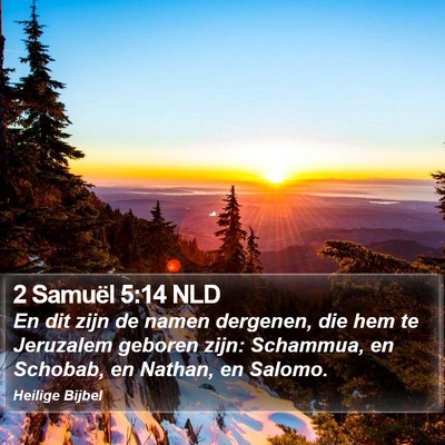 2 Samuël 5:14 NLD Bible Verse Image