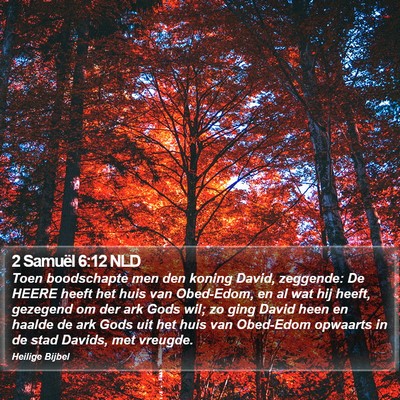 2 Samuël 6:12 NLD Bible Verse Image